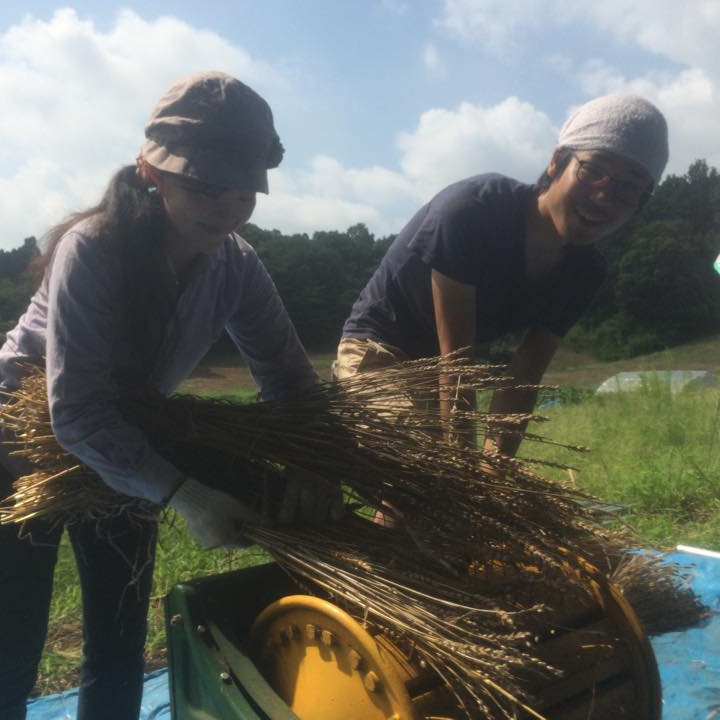 えんのうっぽい体験