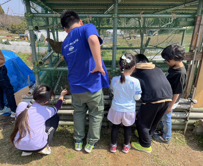 ニワトリかわいい～