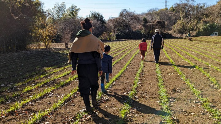 ゆっくり麦踏み