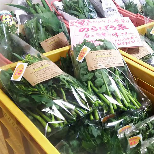 いまから出荷です