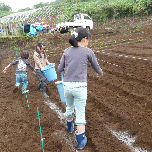 お手伝い？それとも遊んでいるのかな？