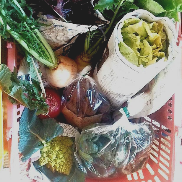 例えばこんな感じです